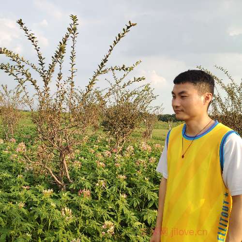 37岁岁广东单身帅哥 - 梧州吉缘网